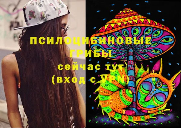 дурь Остров